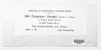 Fusarium veratri image